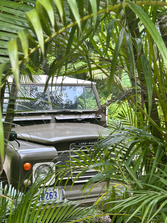 Sunfrolics on location in Nosara Costa Rica.